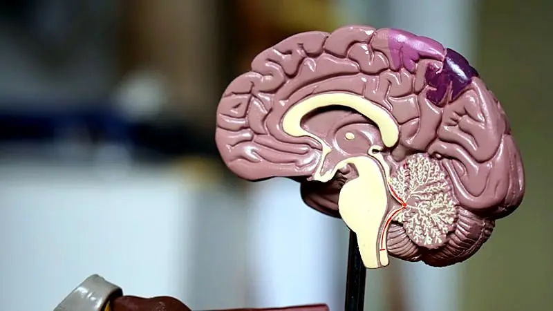 Méthode Padovan, réorganisation neurofonctionnelle, orthophonie à Boersch